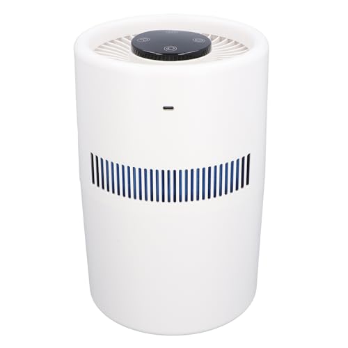 Purificador de Aire con Humidificador Combinado, Purificadores de Aire y Humidificador 2 en 1, Humidificador con Tanque de Agua de 5W y 4L, Purificador de Aire de Escritorio,