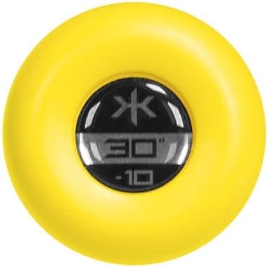 TRUE TEMPER 2022 RAKE (-5) USSSA 2 3/4" Baseball BAT (30.5"/25.5oz.)