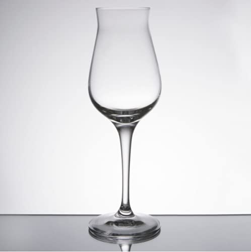 Spiegelau 12 copas digestivas Authentis 17 cl de cristal – Vasos elegantes para licor, aguardiente, whisky y coñac, diseño profesional, aromas intensificados, lavables lavavajillas