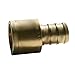 Jones Stephens C76028LF 3/4 PEX X 3/4 FEMALE SWEAT ADAPTER - LEAD FREE