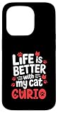 Curio Cat Name GIfts