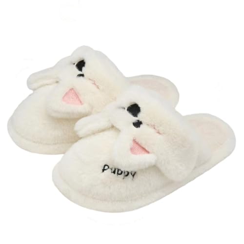 [UZCX] t@[ T_  fB[X e Y Xbp 22.5 cm ւ   fUC03 y ₷ ~ {A [V[Y