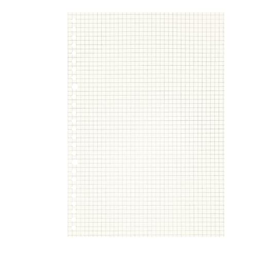 Image of Zelten Loose Leaf Punched Paper Refills Paper for 6 Hole Binder Personal Organizer Diary Notebook Refillable Planner (Squared,B5 /26 Hole)
