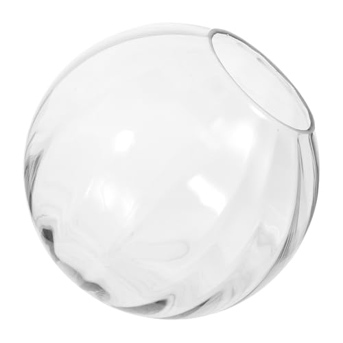 SOIMISS Paralume in Vetro a Globo Da 150mm, Coprilampada Di Ricambio Trasparente Bordi Arrotondati, Paralume Decorativo Per Lampade a Sospensione Adatto a Soggiorno e Camera Da Letto