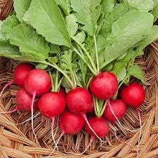Seed Wala TURNIP RED pack of 100+ seeds | HYBRID Seeds | ORGANIC SEEDS (B09X29R3BT) Amazon Price History, Amazon Price Tracker