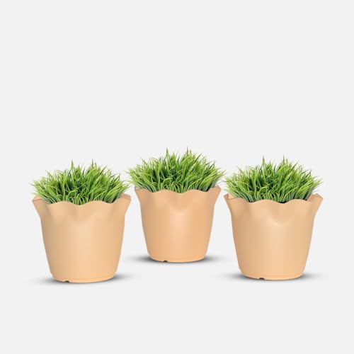 YUCCABE ITALIA SHERA Flower Plastic Flower Pot Unbreakable Round Shape Planter with Drainage Holes Planter Suitable for Home Garden Seedling Indoor and Outdoor (Beige, 4 INCH - 3 Pcs)