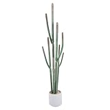 Nafresh Tall Faux Cactus Plant，62in Realistic Texture Tall Fake Plant, Artificial Cactus Large with White Planter Indoor Outdoor for Home Office Living Room Bedroom Foyer Porch Decor.