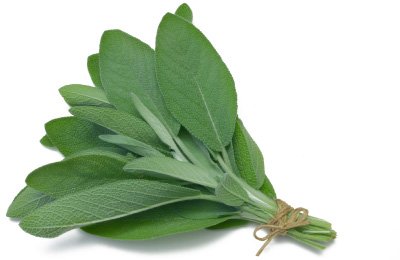 Amazon.com : Earthcare Seeds Sage Herb 125 Seeds (Salvia