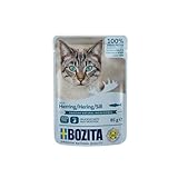 Bozita