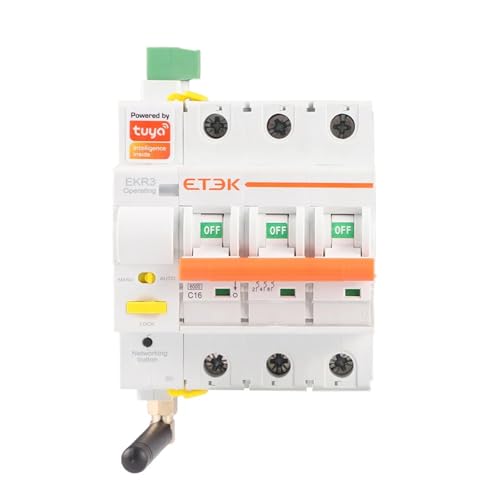 Disjoncteur intelligent MCB Smart Life 2P 25A pour tableau électrique connecté