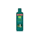  Natural Honey N.Honey Gel 650+100 Ml Amazonian Secrets - 10 ml