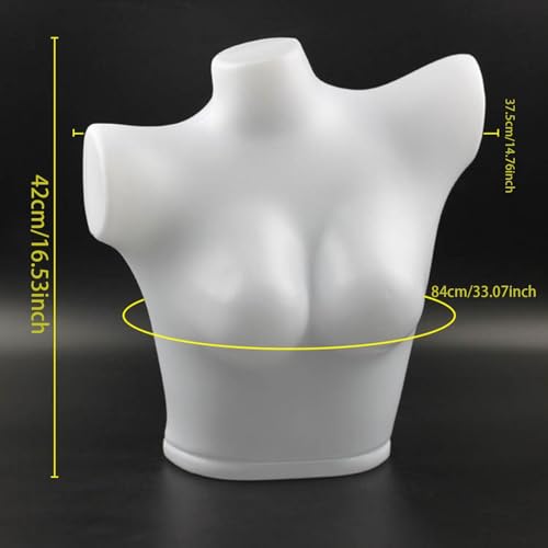 MotiveTech Female Mannequin Torso, Underwear Display Stand, Body Part, Bra Display Mannequin