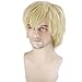 RightOn Blonde Wig Short Wig Blonde Cosplay Wigs for Costume Party and Dress Up Short Blonde Wigs for Men and Women Halloween