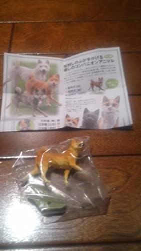 ♯Jqi15Et　カプセルQミュージアム日本のペット動物大全1全11種 ♯Jqi15Et カプセルQミュージアム日本のペット動物大全1全11種 海洋堂