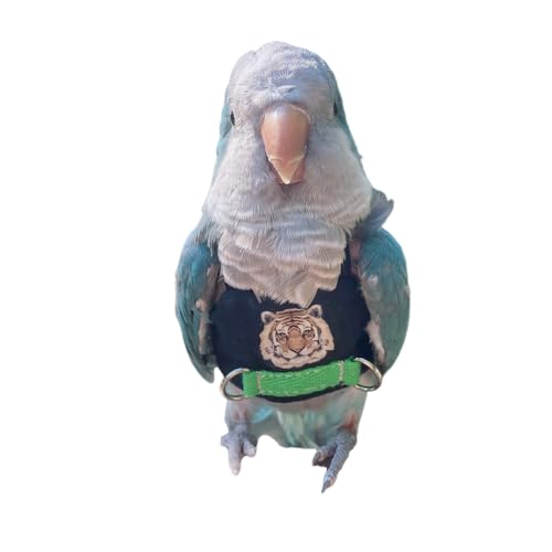 Bird Flight Harness (M, Without Rope)