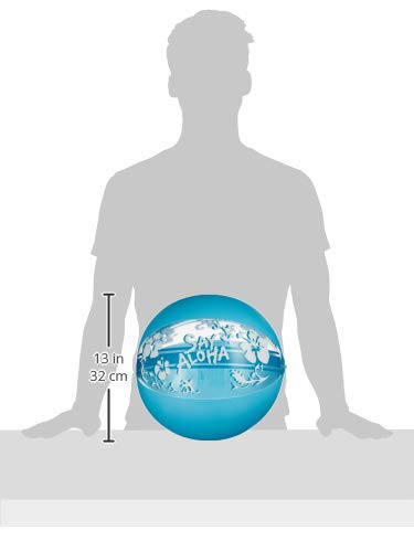 Amazon | ドウシシャ ビーチボール ハイビスカスブルー 50cm | ビーチ