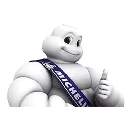 Par Pneu 90/90-21 + 130/80-17 Michelin Sirac Xt 660 R Xt660r