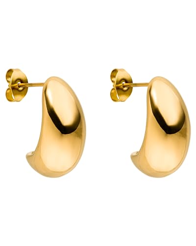 PURELEI® Orecchini Drop, Orecchini a goccia da donna in acciaio inossidabile, Orecchini di tendenza resistenti all'acqua, Regalo per donna (Oro) PURELEI® Orecchini Drop, Orecchini a goccia da donna in acciaio inossidabile, Orecchini di tendenza resistenti all'acqua, Regalo per donna (Oro)