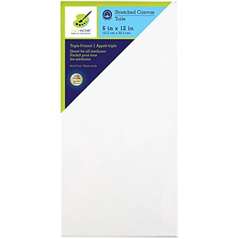 Color Factory 6inx12in Primed Stretch Artist Canvas Cover