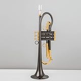● TIMBRE INCREÍBLE: El sonido y timbre de trompeta son puros y brillantes, abundantes y poderosos, con excelente vibración.