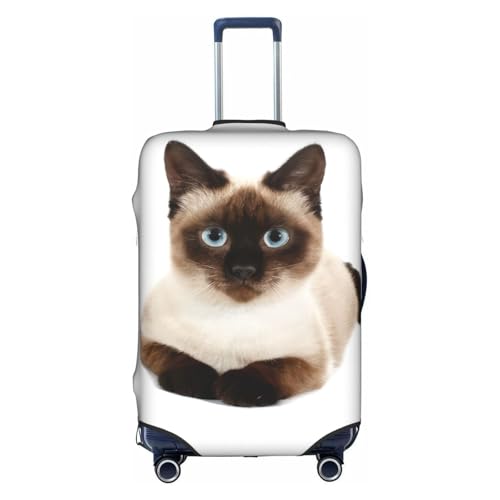 [Raysent] X[cP[XJo[ L L[obOJo[ Lkf ϋv h~ h~ tȒP \ eTCYΉ