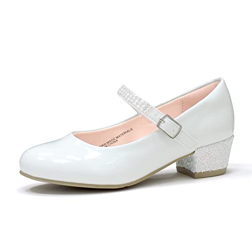 Girls Dress Shoes Mary Jane Shoes for Girls Low Heel Flower Girl Shoes for Wedding Party School Princess Shoes