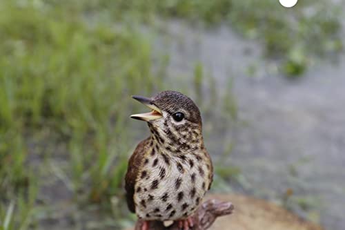 Estatua Decorativa Pájaro Cantor Activada por Movimiento miniatura 2