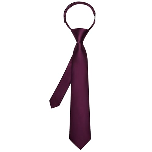 Image of Hi-Tie Pretied Boys Ties Solid Color Kids Adjustable Necktie Lapel Pin Clip Set Age 8-12 Wedding School Graduation