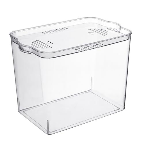 Conutoo   vX`bNbςݏdˉ\ Wt CeAΉ ƒp/ItBXp  e (XL)