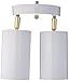 Westinghouse 6668200 Two Light Multi-Directional Ceiling Fixture