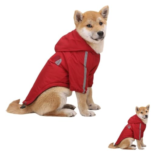 VoyageView  ^ H~ h  CR[g h ̂U y  ~ h g ̕ H~p h h hbOEFA ybg XL[EFA ^p y (ubN,XL)