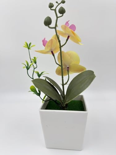 Image of Florona Artificial Orchid Flowers for Decoration with White Plastic Pot | 25 cm Artificial Flowers with Pot | Phalaenopsis Flower with Vase | Realistic Flower for Home, Bedroom, Office (Yellow)