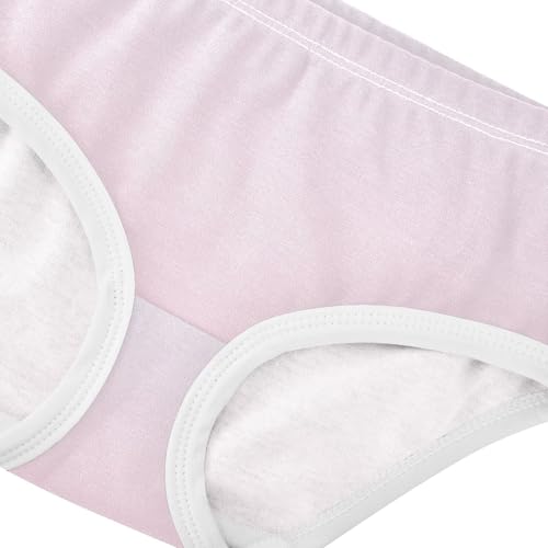 Joisal Cute Pink Gradient Panties for Girl Toddler Girls Underwear Cotton Colorful Briefs Undies Kids 2t4