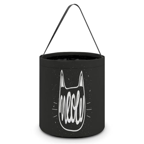 nEB LfBoXPbg 킢 ʔ lR MEOW LfB َq Rei 񂰑 y p[eB[LOi v[g OWp