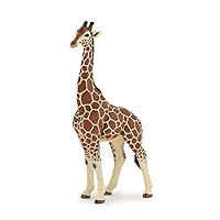 Papo - Large animal figurine - Male Giraffe, Majestic Savannah Animal, Children's toy from 3 years - Raising awareness of African wildlife and nature conservation