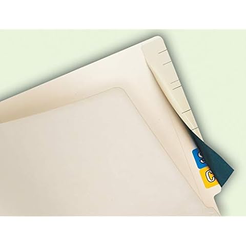 tabbies Top Tab Accessories (TAB55990), Manila 8"x2-1/2" Cover
