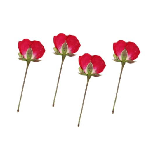 ELEOUTI �h���C�t�����[ 12�Z�b�g ���[�Y�o�b�h ������ ����ԍ� DIY�N���t�g�p �t�H�g�t���[����l�C���A�[�g�Ȃǃz�[���f�R���[�V����