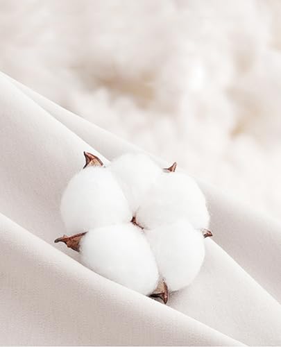 DEMEANOR Mens Short Sleeve Dress Shirts Cotton Solid Casual Summer Wedding Button Down Shirt with Pocket2