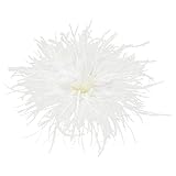 Polyvalente et Facile à Porter : cette pièce broche à plume offre une grande variété d’utilisations et de possibilités de style. Elle broche à plume peut se porter pour orner le col ou le revers d’un manteau; elle peut également servir de pince à cheveux pour maintenir un chignon ou une frange ; ou encore décorer chapeaux et sacs à main, apportant une touche unique à vos tenues quotidiennes. Que ce soit pour des occasions formelles ou au quotidien, elle s’adapte avec élégance.