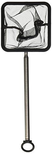 elive extendable telescopic fish net Promar Extend Scoop designed for maximum versatility and reach Flip and Dip | Rainbow