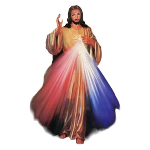 Divine Mercy Laminated A4 Size (29.7 x 21) Cover