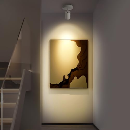Image of White Surface Mounted LED Ceiling Spotlight Directional Spot Lights Indoor Bright Can Accent Fixture for Living Room Bedroom - CRI92 Flicker Free 7W 560LM 3000K Warm White (Driver includ)