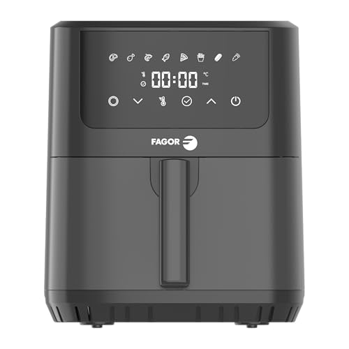 fagor Cooking Fry 6.5L Digital FGR65