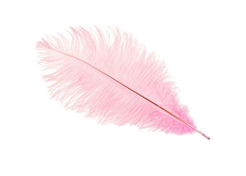Ostrich Feather Plumes 12