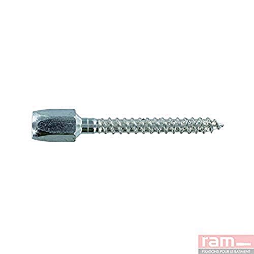 Ram - Piton de Réhabilitation mâle, 6mm, Gris, Boîte de 50 Cover