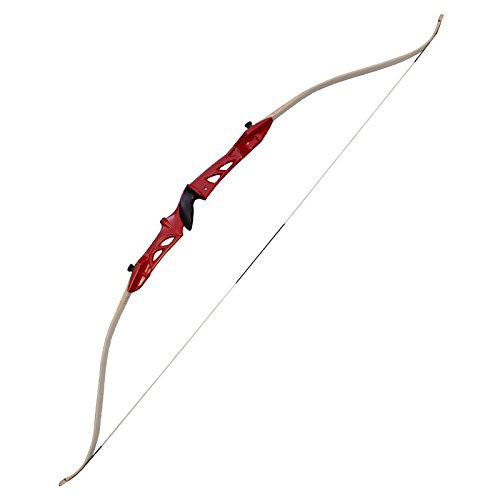 7 Best Recurve Bow for Hunting 2022 [Buyer's Guide]