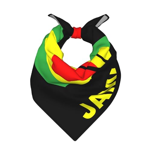KWQDOZF Bandanas jamaïcains rasta reggae Judah Lion pour femmes et hommes, masque, foulard, bandeau tendance 56 x 56 cm
