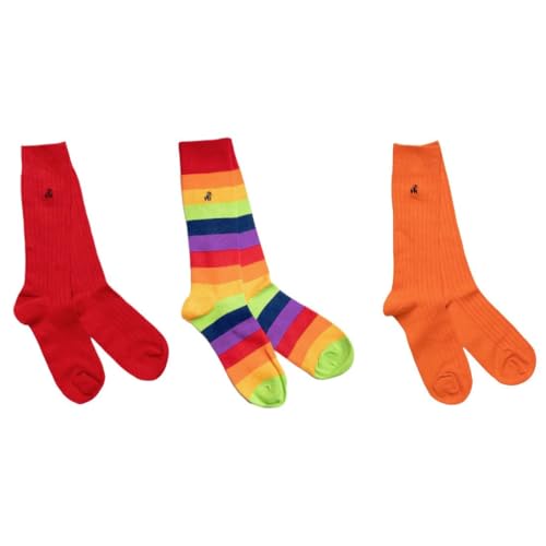 Coffret cadeau 3 paires de chaussettes en bambou Swole Panda Pride Stripe idée cadeau originale