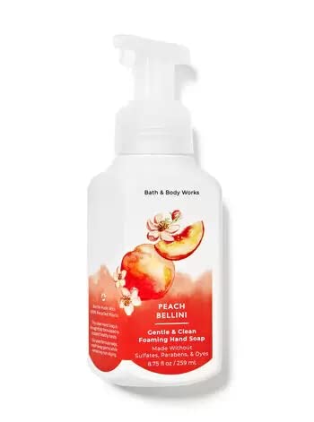 Bath & Body Works Bath and Body Works Foaming Hand Soaps - Set of 5 Gentle Foaming Soaps (Fresh & Fruity) 8 ounce