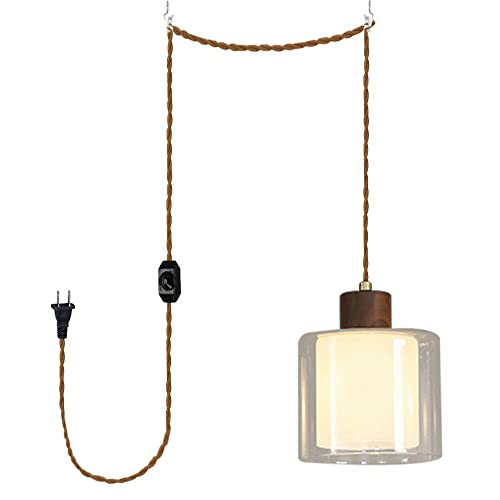 KAYYELAMP Modern Design Plug in 15 Ft Dimmer Switch Twisted Cord Hanging Lamp E26 Base Double Glazed...